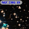 NGC  2301    19