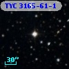 TYC 3165-61-1