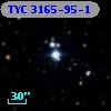 TYC 3165-95-1