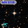 NSV  3219