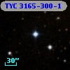 TYC 3165-300-1
