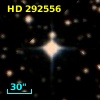 HD 292556