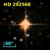 HD 292568