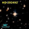HD 292492