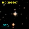 HD 295607