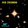 HD 292800