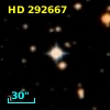 HD 292667