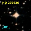 HD 292636