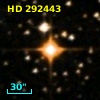 HD 292443