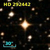 HD 292442