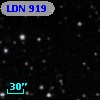 LDN  919