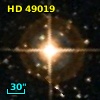 HD  49019