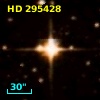 HD 295428