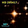 HD 295417