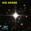 HD  49480