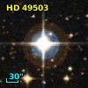 HD  49503