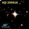 HD 295616