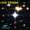 HD 295604