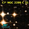 Cl* NGC 2286      C      31