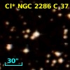 Cl* NGC 2286      C      37