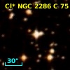 Cl* NGC 2286      C      75