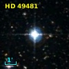 HD  49481