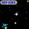 NSV  3263
