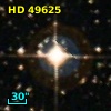 HD  49625