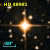 HD  48981