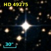 HD  49275