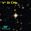 V* DI CMa