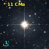 *  11 CMa