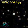 V* V1204 Cyg