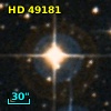 HD  49181