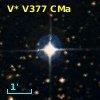 V* V377 CMa