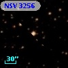 NSV  3256