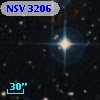 NSV  3206