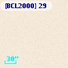 [BCL2000] 29