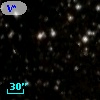 V* V779 Cyg