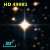 HD  49981