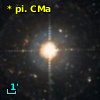 *  19 CMa