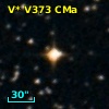 V* V373 CMa