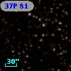 37P 81