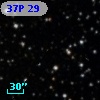 37P 29