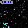 37P 33