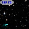 37P 50