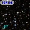 37P 54