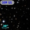 37P 55