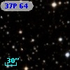 37P 64