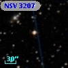 NSV  3207